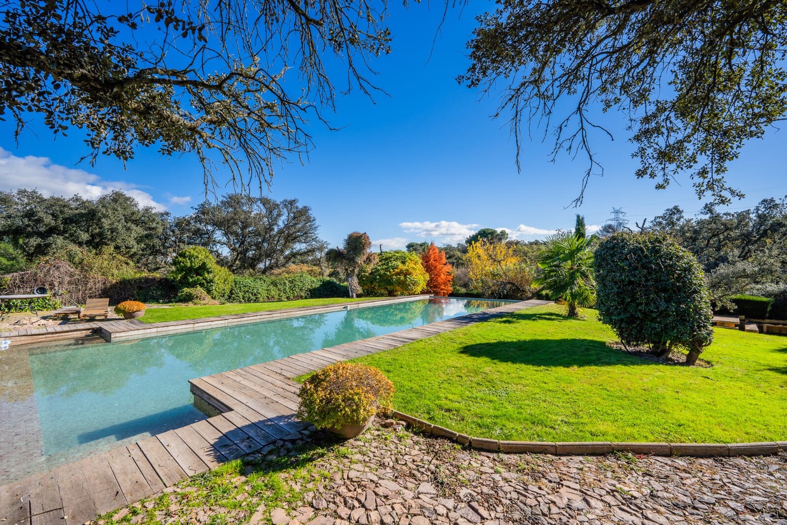 La piscina y el jardín